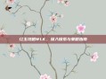 红玉攻略WLK，深入探索与策略指南
