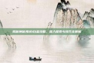 揭秘神秘海域1白金攻略，深入探索与技巧全解析
