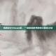 妖精剑士Steam版，一场虚拟世界的奇幻探险之旅