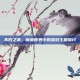 不朽之责，魔兽世界中的深刻主题探讨
