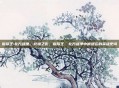 指环王:北方战争，北境之影，指环王，北方战争中被遗忘的英雄史诗