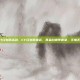 cf红包雨活动，CF红包雨来袭，真金白银等你拿，手慢无！