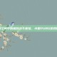 紧凑空间中的极致战斗体验，小型PUBG游戏概览