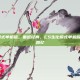 cs生化模式单机版，重返经典，CS生化模式单机版的魅力与回忆