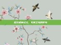 尼尔机械纪元,无翼之鸟的冒险