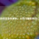 Steam游戏品类全解析，从热门爆款到冷门宝藏