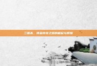 三国杀，傅金传奇之路的崛起与辉煌