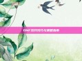 DNF双开技巧与策略指南