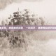 健康丰胸，解锁曲线密码，一份科学、健康的自然丰胸指南