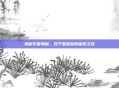 揭秘宇宙奥秘，双子星图鉴的探索之旅