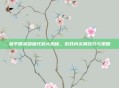 和平精英甜蜜代码大揭秘,游戏内实用技巧与策略