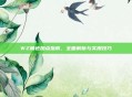 WZ角色加点指南，全面解析与实用技巧