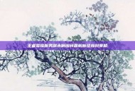 王者荣耀服务器未响应问题解析及应对策略