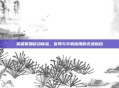 英雄联盟移动体验，官网与手机应用的无缝融合