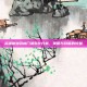 英雄联盟武林门派对比分析，策略与技能的较量