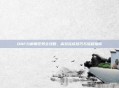 DNF分解师任务全攻略，高效完成技巧与流程指南