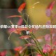 王者荣耀S21赛季80级战令奖励与进阶攻略全解析