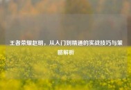 王者荣耀赵明，从入门到精通的实战技巧与策略解析