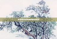 男柔道以柔克刚的智慧对决