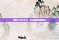 网吧CSGO体验，双刃剑效应的探讨