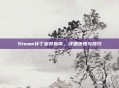 Steam补丁安装指南，详细步骤与技巧