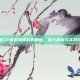 掌握CF端游特殊战的精髓，深入解析与实战技巧