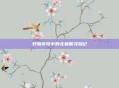 轩辕传奇中的北极熊寻踪记