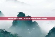 绝地求生生存指南，在PUBG中的生存技巧与策略
