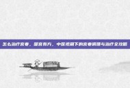怎么治疗宫寒，暖宫有方，中医视角下的宫寒调理与治疗全攻略