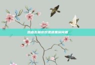 热血无赖游戏遭遇黑屏问题
