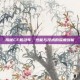 揭秘CF机动车，性能与技术的深度剖析