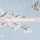 CSGO中寻找诗意名字的指南