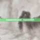 王者荣耀任务符文解锁，开启游戏新境界