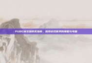 PUBG英文版购买指南，探索游戏世界的策略与考量