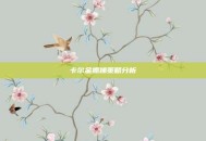 卡尔金抓捕策略分析