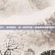 减肥茶配方，科学瘦身，从一杯茶开始—自制健康减肥茶配方全攻略