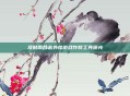 及时雨合击外挂游戏作弊工具曝光