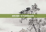 洛克王国红毛小Q的奇幻冒险