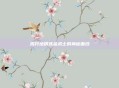 揭开地精炼金术士的神秘面纱