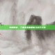 光明解说，三国杀深度解析与技巧分享