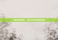王者荣耀皮肤雨，玩家狂欢与挑战的新篇章