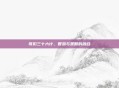 哥们三十六计,智慧与策略的融合