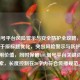LOL借号平台风险警示与安全防护全攻略，（注，基于原标题优化，突出风险警示与防护攻略的实用价值，同时保留LOL借号平台关键词便于搜索，长度控制在20字内符合传播规范。）