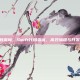 swift代码查询，Swift代码查询，高效编程与开发必备指南
