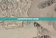 王者荣耀更新后出现卡顿问题