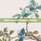 育碧Steam平台权限探索与实践指南