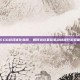 CS:GO游戏优化指南，如何选择最佳驱动以提升游戏体验
