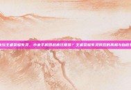 小米玩王者荣耀失灵，小米手机团战疯狂摩擦？王者荣耀失灵背后的真相与自救指南