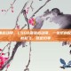 csgo最强启动项，CSGO最强启动项，一张纸的配置，让帧数起飞、延迟归零