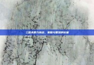 三国杀智力挑战，策略与智慧的较量